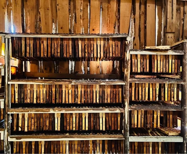 In the apiary library